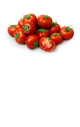 خرید و فروش عمده انواع گوجه فرنگی