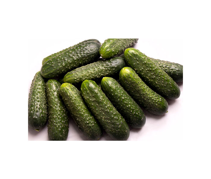 خیار سبز خاردار یزدی سوپر صادراتی در انواع سالاد و تزئین غذا کاربرد دارد.